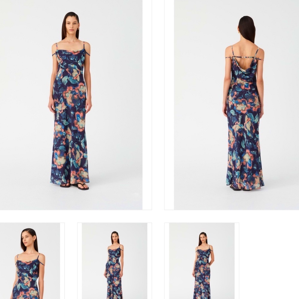 NWOT Misha Olivette Cowl Neckline Georgette Maxi Dress